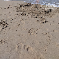St. Nicholas Park Вот такой песочек на пляже Кид