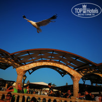 Club Resort Atlantis HV-1 - Фото отеля
