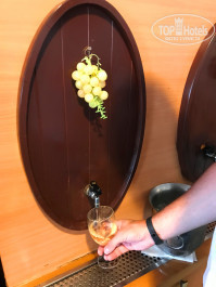 Hotel Tara 4* - Фото отеля