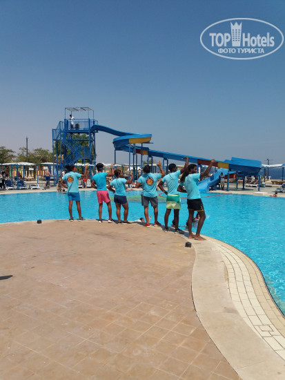 Dreams Beach Resort Sharm El Sheikh 5* Дневная анимация у бассейна - Фото отеля