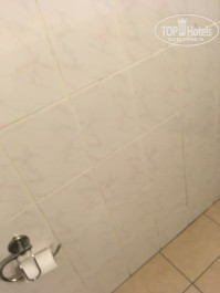 Green Paradise Beach Hotel 4* - Фото отеля
