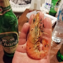 Kata Sea Breeze 3* Креветки, которые покупали на рынке - Фото отеля