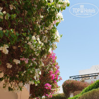 Verginia Sharm Resort & Aqua Park 4* - Фото отеля