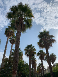 Estival Park Salou Hotel 4* - Фото отеля