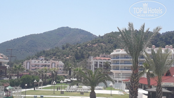 Pineta Club Hotel 4* - Фото отеля