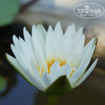 Sailing Bay Beach Resort 4* - Фото отеля