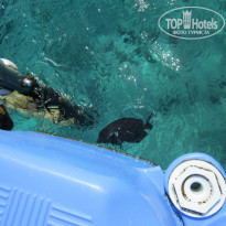 Dessole Royal Rojana Resort 5* - Фото отеля