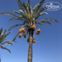 Zeynep Hotel 5* - Фото отеля