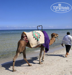 Helya Beach & Spa 3* - Фото отеля
