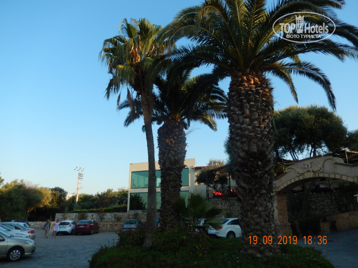 Club Resort Atlantis HV-1 - Фото отеля