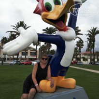 Estival Park Salou Hotel 4* Здесь остановка автобуса. - Фото отеля
