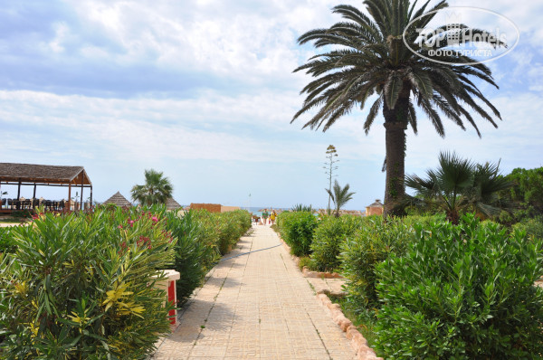 Hawai Beach Club 3* - Фото отеля