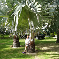 Sailing Bay Beach Resort 4* - Фото отеля