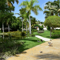 Catalonia Bavaro Beach, Golf & Casino Resort 5* - Фото отеля