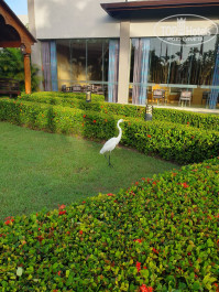 Grand Palladium Punta Cana Resort & Spa 5* - Фото отеля