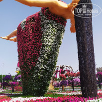 Golden Tulip Sharjah 4* - Фото отеля