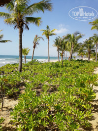 Hainan Greentown Blue Bay Resort 4* - Фото отеля