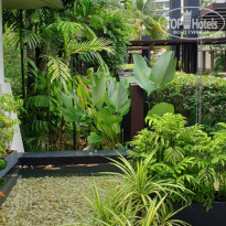 Centara Karon Resort Phuket 4* - Фото отеля