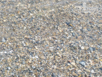 Royal Garden Beach Hotel 5* По такому дну босиком ходить сложно. - Фото отеля