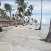 Catalonia Bavaro Beach, Golf & Casino Resort 5* - Фото отеля
