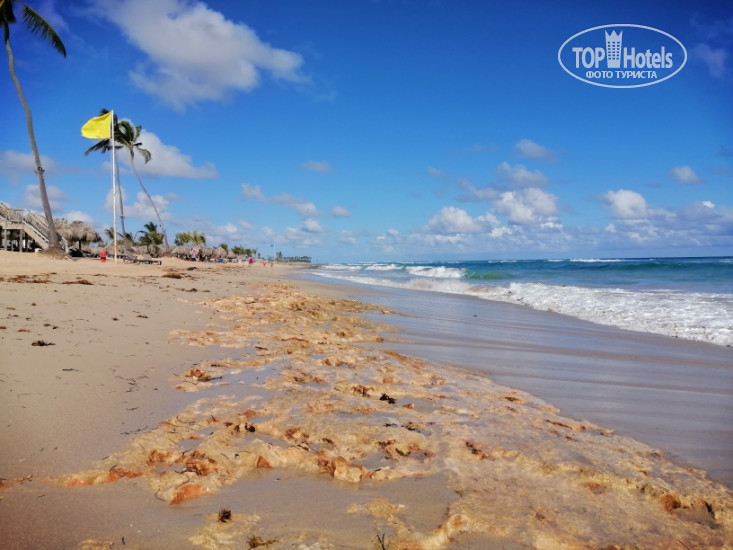 Ocean El Faro 5* - Фото отеля