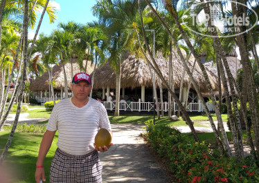 Be Live Hamaca Garden 4* На дальнем плане столовая, кокосом угостили озеленители, производившие опиловку листьев пальм, заодно собирали кокосы. - Фото отеля