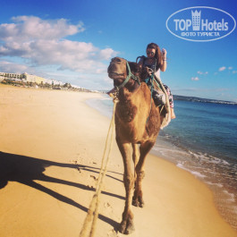 Iberostar Averroes 4* - Фото отеля