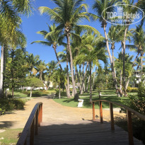 Catalonia Bavaro Beach, Golf & Casino Resort 5* - Фото отеля
