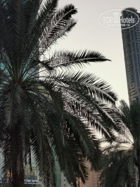 Nejoum Al Emarat 3* - Фото отеля