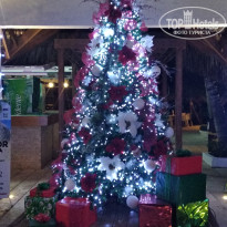 Be Live Hamaca Garden 4* - Фото отеля