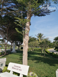 Long Thuan Resort 3* Парк рядом с отелем. - Фото отеля