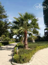 Long Thuan Resort 3* Парк рядом с отелем - Фото отеля