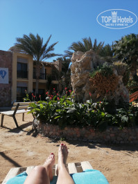 Jewels Sahara Boutique Resort 4* - Фото отеля