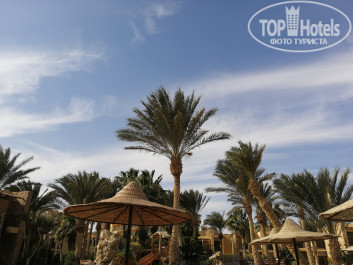 Jewels Sahara Boutique Resort 4* - Фото отеля