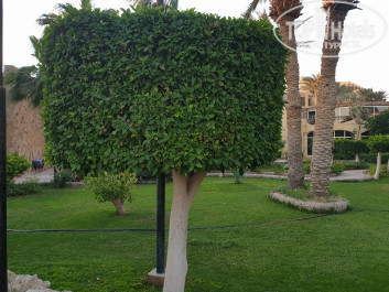 Jewels Sahara Boutique Resort 4* - Фото отеля
