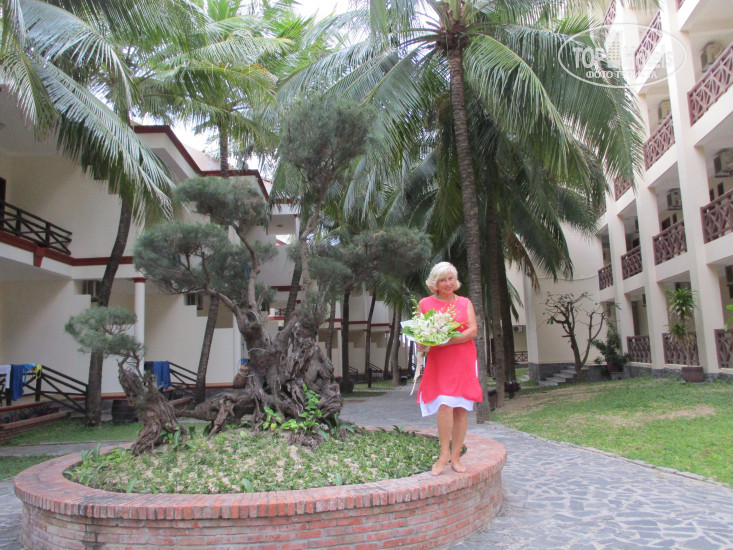 Ocean Star Resort 4* - Фото отеля