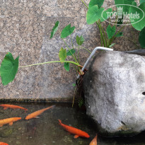 Pearl River Garden 4* - Фото отеля