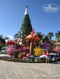 Vinpearl Resort & Spa Nha Trang Bay 5* в центре парка - Фото отеля