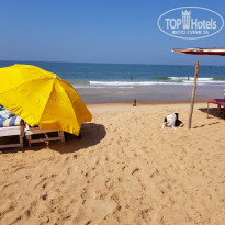 Ticlo Resorts 2* Море - Фото отеля