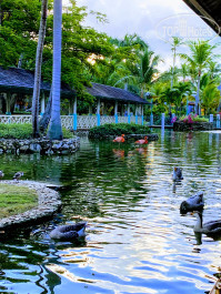 Iberostar Selection Bavaro Suites 5* - Фото отеля