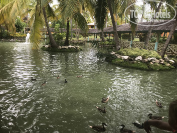 Iberostar Selection Bavaro Suites 5* - Фото отеля