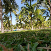 Vinpearl Resort & Spa Nha Trang Bay 5* - Фото отеля