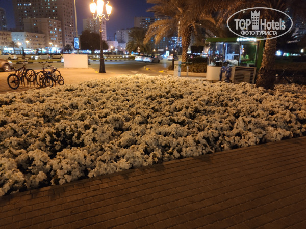 Carlton Sharjah 4* - Фото отеля