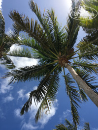 Brisas Del Caribe 4* - Фото отеля