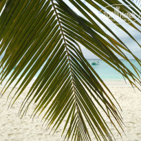 Be Live Hamaca Garden 4* - Фото отеля