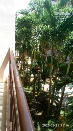 Long Thuan Resort 3* Вид с балкона - Фото отеля