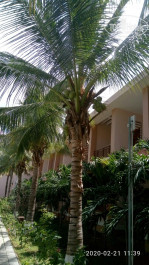 Long Thuan Resort 3* - Фото отеля