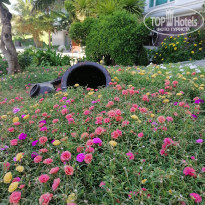 Sailing Bay Beach Resort 4* - Фото отеля