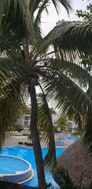 Be Live Hamaca Garden 4* - Фото отеля