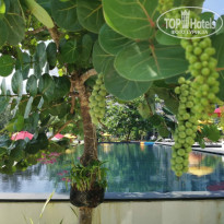 Cassia Phuket 4* - Фото отеля